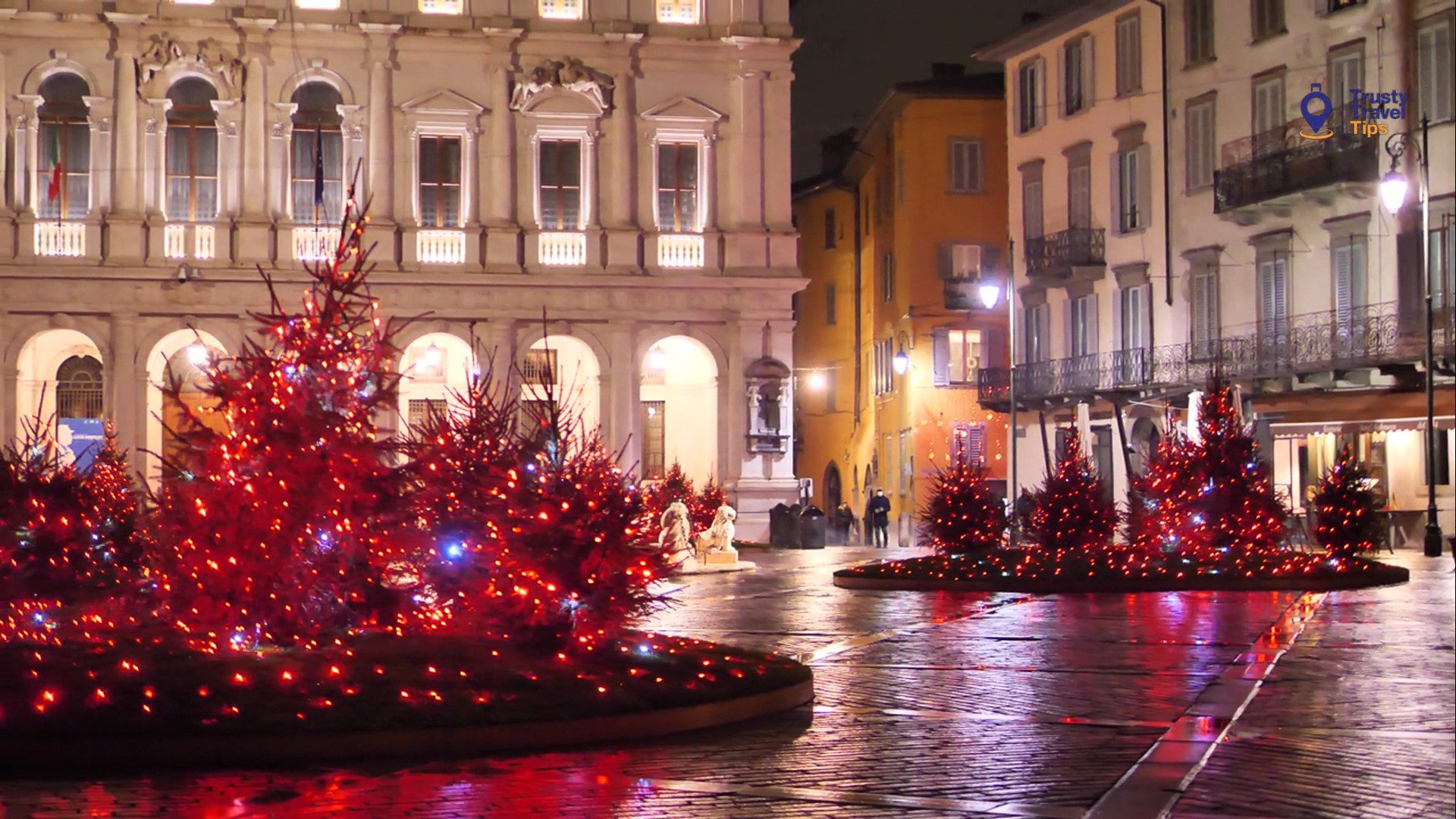 Illuminated Christmas trees in plaza
