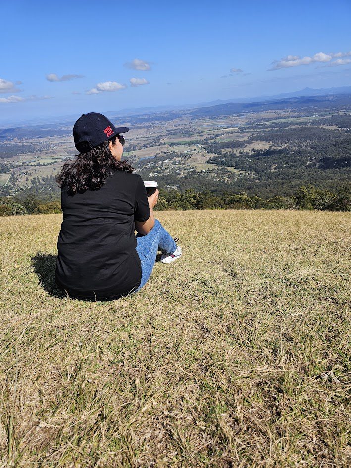 Tamborine Mountain views